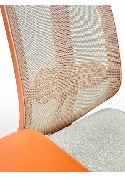 // Comfort Pastel Çalışma Koltuğu Yönetici Koltuğu Genç Odası Çalışma Koltuğu