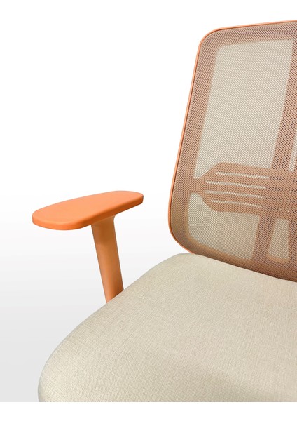 // Comfort Pastel Çalışma Koltuğu Yönetici Koltuğu Genç Odası Çalışma Koltuğu