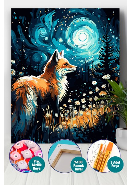 Yıldızlı Gecede Tilki Sayılarla Boyama Seti