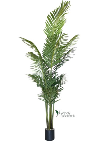 190 cm Islak Dokulu 14 Dallı Lüks Yapay Areka Ağacı indirimleri