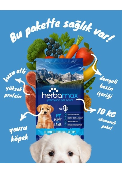 Premium Puppy Kuzu Etli ve Pirinçli Yavru Köpek Maması 10 Kg – Tüm Irklar İçin, Yüksek Proteinli