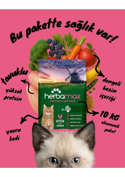Kitten Tavuklu Yavru Kedi Maması 10 kg
