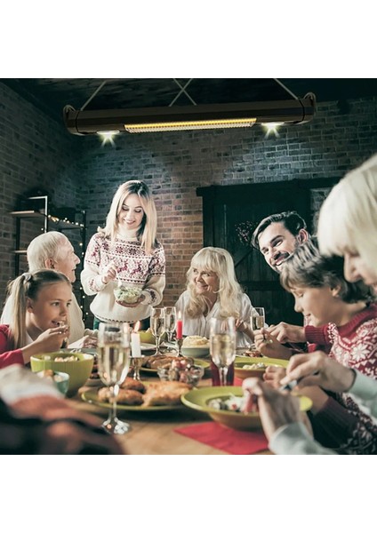 Vega 2500W Sarkıt Tipi Karbon Infrared Isıtıcı Kumandalı LED Aydınlatmalı