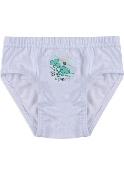 Erkek Çocuk Renkli Baskılı Pamuklu Slip 3'lü Paket Asorti 3050 indirimleri