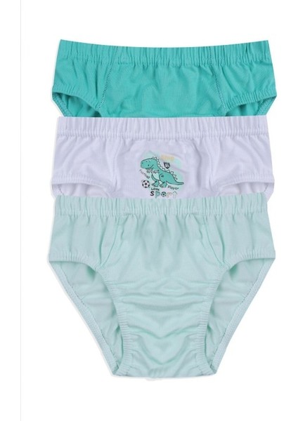Erkek Çocuk Renkli Baskılı Pamuklu Slip 3'lü Paket Asorti 3050