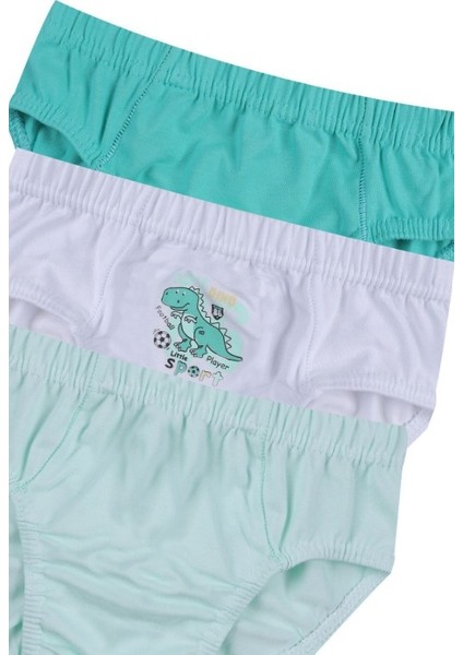 Erkek Çocuk Renkli Baskılı Pamuklu Slip 3'lü Paket Asorti 3050