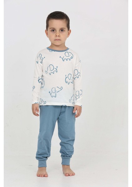 Erkek Çocuk Fil Pano Baskılı Pijama Takım
