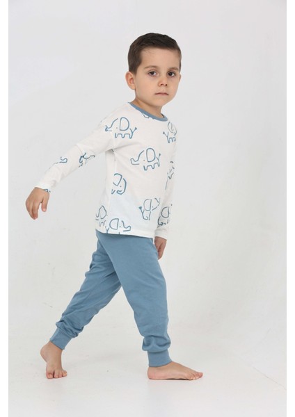 Erkek Çocuk Fil Pano Baskılı Pijama Takım fiyatları