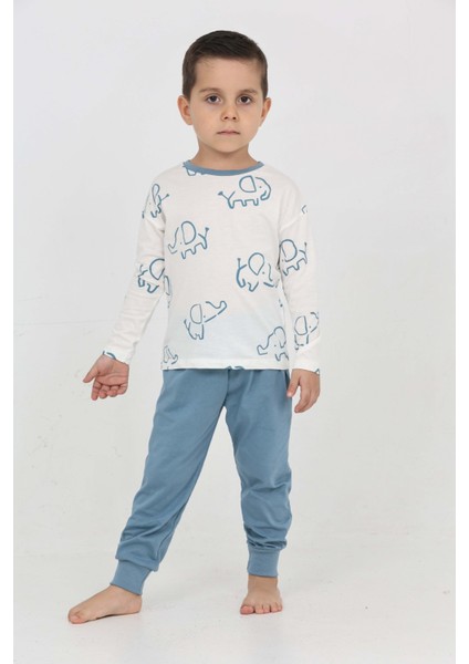 Erkek Çocuk Fil Pano Baskılı Pijama Takım modelleri