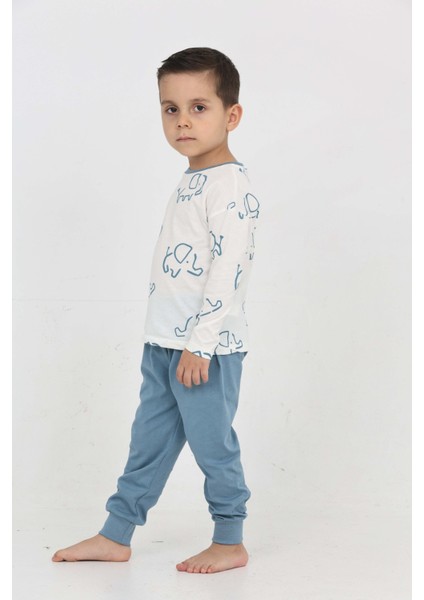 Erkek Çocuk Fil Pano Baskılı Pijama Takım fırsatları