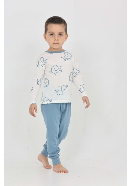 Erkek Çocuk Fil Pano Baskılı Pijama Takım indirimleri