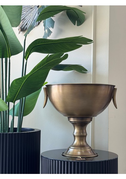 Fil Dişi Detaylı Eskitme Saksı