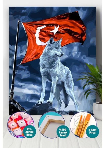 Kurt ve Hilal Sayılarla Boyama Seti