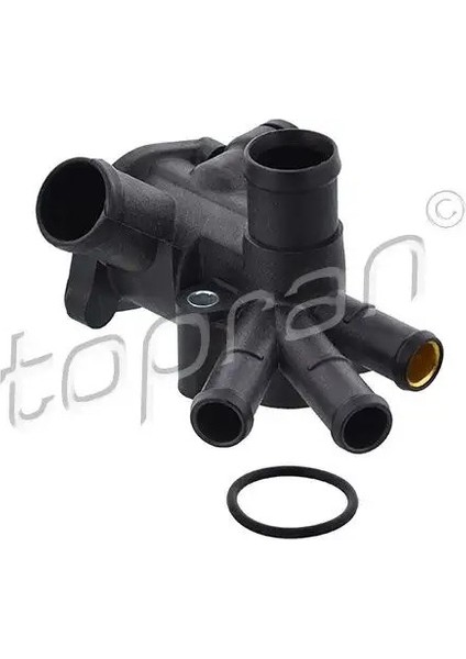 107329001 Termostat 030121117D