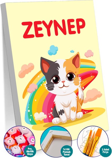 Minnoş Kedi Sayılarla Boyama Seti