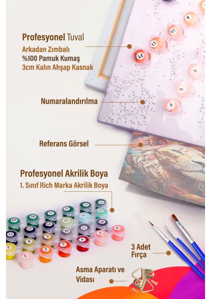 Pembe Güller Sayılarla Boyama Seti modelleri