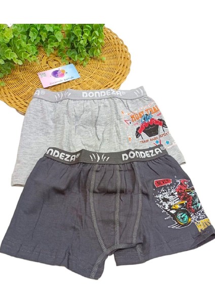 Erkek Çocuk %95 Pamuklu Baskılı 2'li Boxer