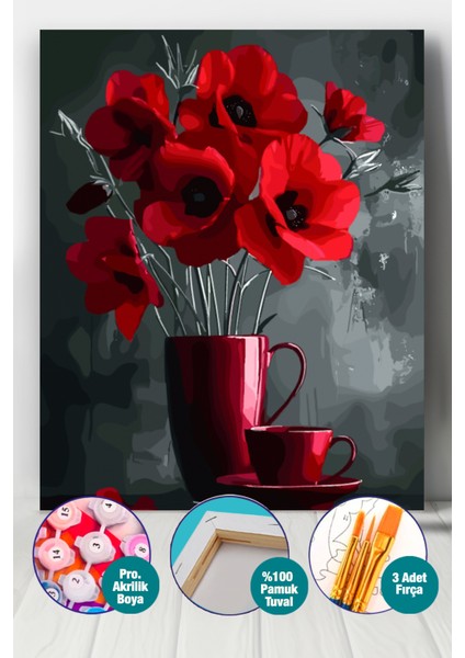 Kırmızı Gelincikler Sayılarla Boyama Seti