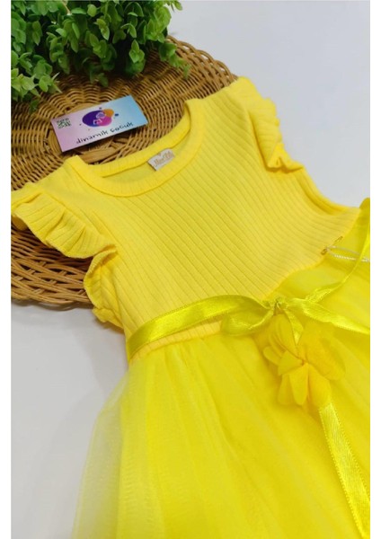 Kız Çocuk Tül Özel Gün Doğum Günü Günlük Prenses Elbise fiyatları