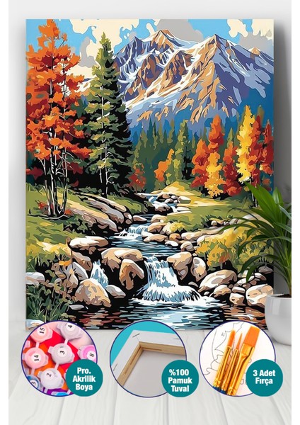 Dağ ve Dere Sayılarla Boyama Seti