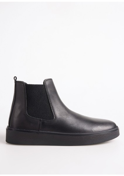 Siyah Erkek Bot Roger