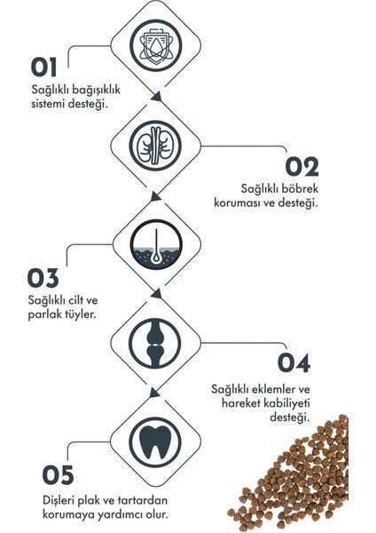 Somonlu ve Yaban Mersinli Küçük Irk Yetişkin Köpek Maması modelleri