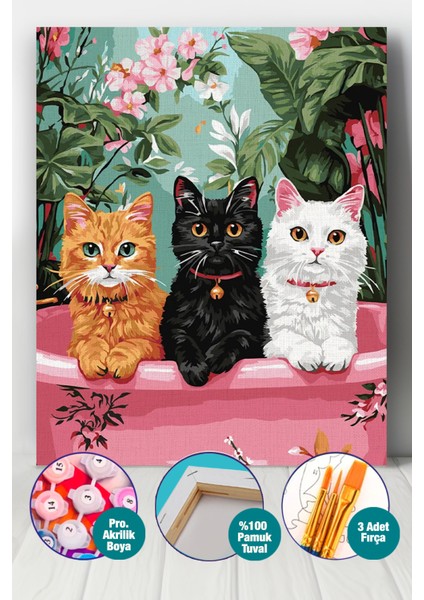 Pembe Küvet Sayılarla Boyama Seti