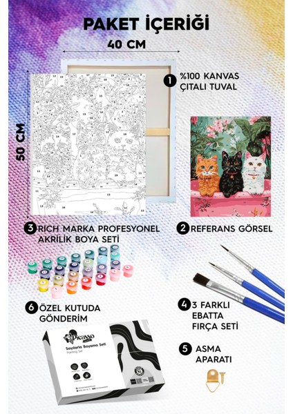 Pembe Küvet Sayılarla Boyama Seti fiyatları