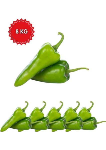 Köy Biberi – Taptaze ve Lezzetli Sofralık Biber