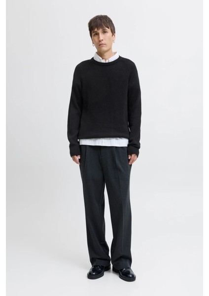 Jjpannel Pamuk Karışım Regular Fit Bisiklet Yaka Kazak Erkek Kazak 12278916 modelleri