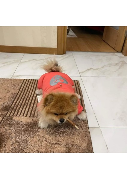 Köpekpeluştulum fiyatları