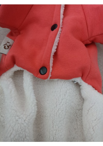 Köpekpeluştulum modelleri