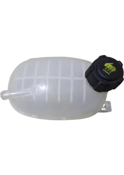 GENLESME KAVANOZU CAPTUR II LOGAN III MAIS 217102572R fiyatları