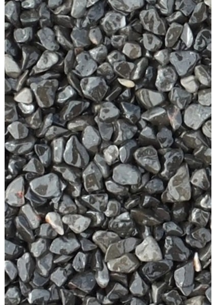 Siyah Dolomit Taş 2-4 cm Dere Çakıl Taşı | Bahçe, Saksı, Teraryum ve Akvaryum Süs Taşı 0,50 kg