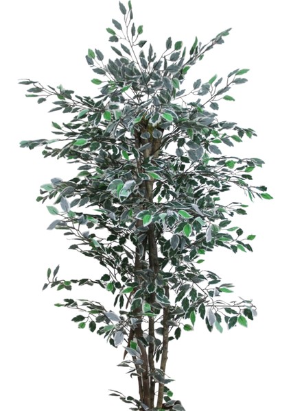 Yapay Alacalı Benjamin Ağacı 170 cm fiyatları