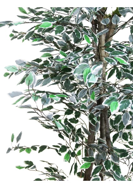 Yapay Alacalı Benjamin Ağacı 170 cm modelleri