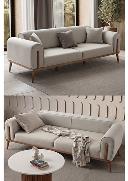 Riva 3'lü Koltuk Modern Tasarım Silinebilir Kumaş Sütlü Kahve 224x90 cm