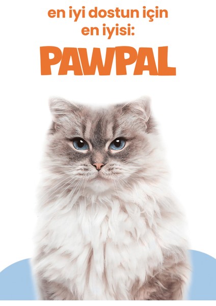 Somonlu Süper Premium Kısır Kedi Maması 4kg | Hipoalerjenik – Düşük Tahıllı – Yüksek Proteinli indirimleri