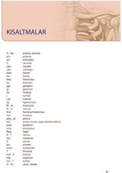 Sağlık Bilimlerinde Anatomi Atlası Prof. Dr. Mehmet Yıldırım 2021 Yayınlı