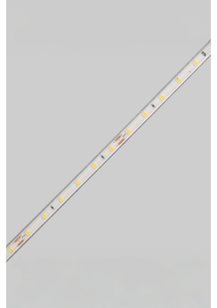 20 mt Dış Mekan IP68 Havuz Bahçe Şerit LED