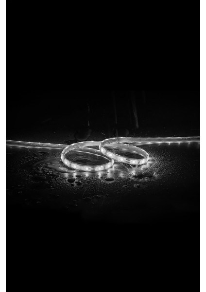 20 mt Dış Mekan IP68 Havuz Bahçe Şerit LED fiyatları