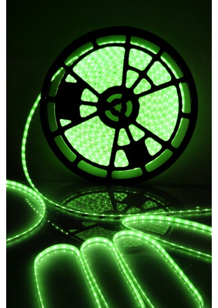 20 mt Dış Mekan IP68 Havuz Bahçe Şerit LED fırsatları