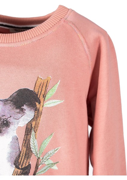 Organik Baskılı Pembe Kışlık Kız Çocuk Sweatshirt modelleri