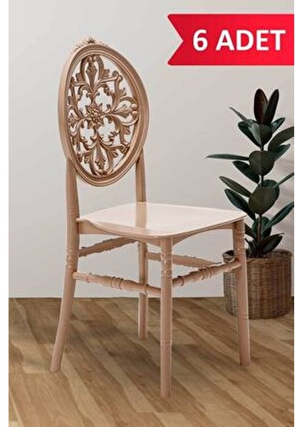 Venüs Cappucino Sandalye 6 Adet Plastik Gövde ve Ayaklarla Klasik Tasarım fiyatları