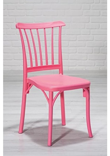 4 Adet Violet Pembe Sandalye Hafif Plastik Malzeme ile Şık ve Fonksiyonel fiyatları