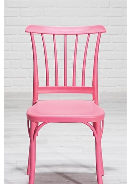 4 Adet Violet Pembe Sandalye Hafif Plastik Malzeme ile Şık ve Fonksiyonel modelleri