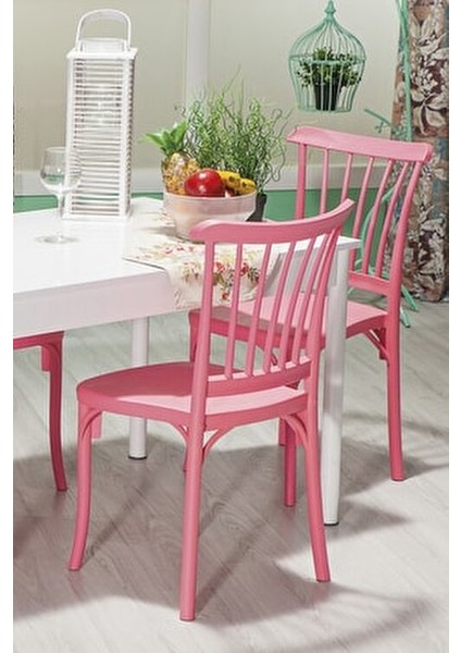 4 Adet Violet Pembe Sandalye Hafif Plastik Malzeme ile Şık ve Fonksiyonel fırsatları