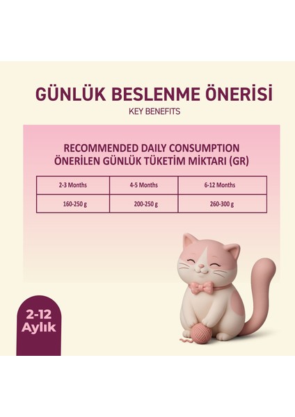Tavuklu Yaş Konserve Yavru Kedi Maması, Jöle Içinde Parça Etli, 400 gr x 12 Adet