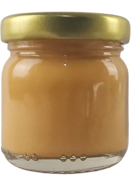 Seramik ve Çini Boyası 40 Cc. 8848 Hardal Sarı