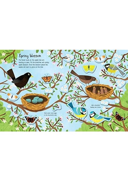 Book Seasons: 1 fiyatları